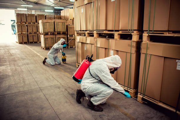 Best Cockroach Control Services  in Piketon, OH
