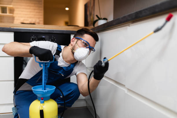 Best Pest Removal Services  in Piketon, OH
