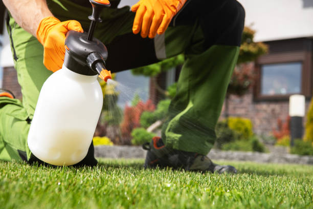 Best Pest Removal Services  in Piketon, OH