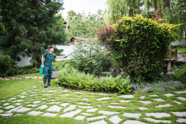 Best Best Pest Control Companies  in Piketon, OH