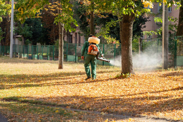 Best Residential Pest Control  in Piketon, OH